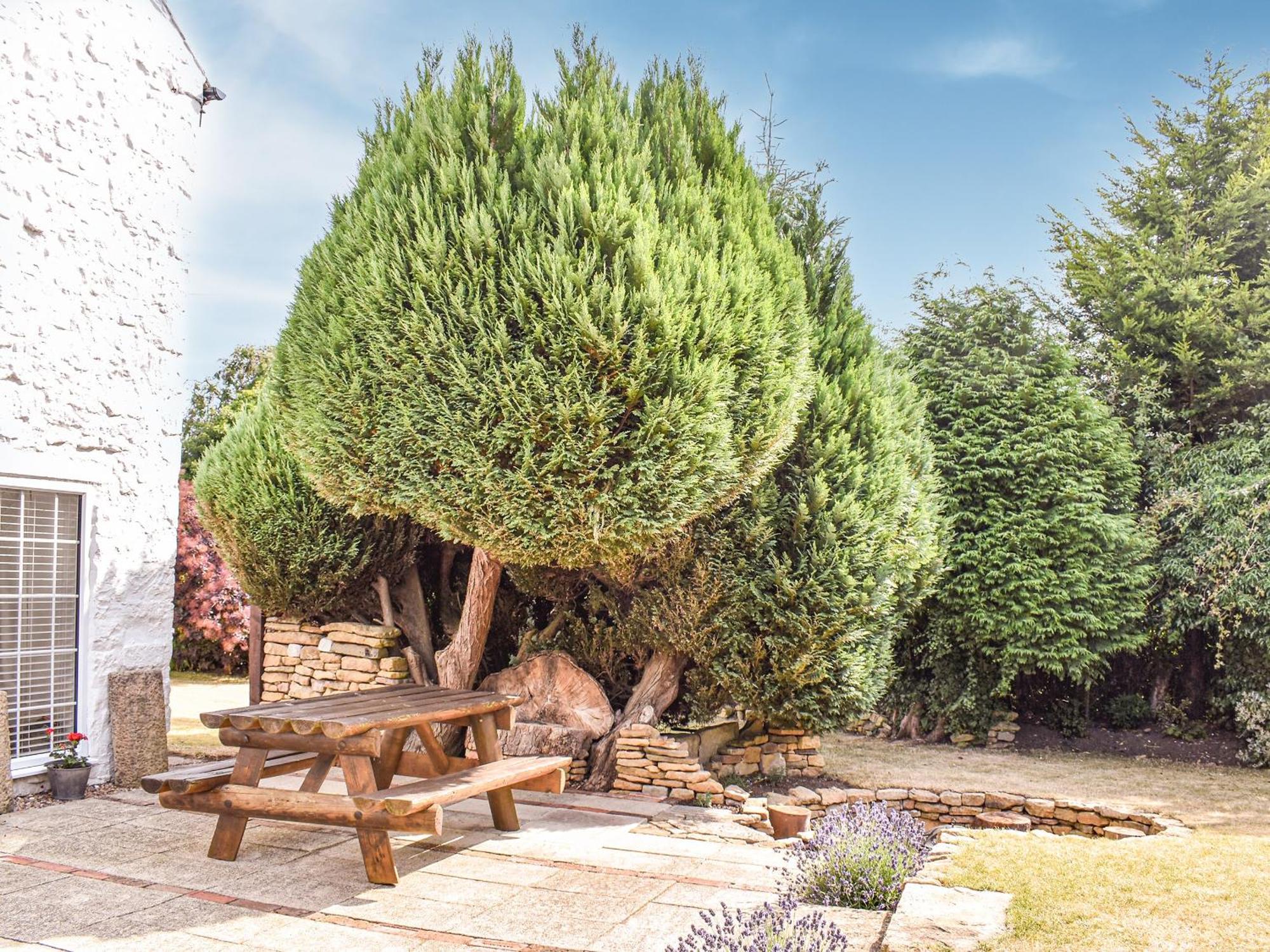 Bathurst Cottage Scarcliffe Esterno foto